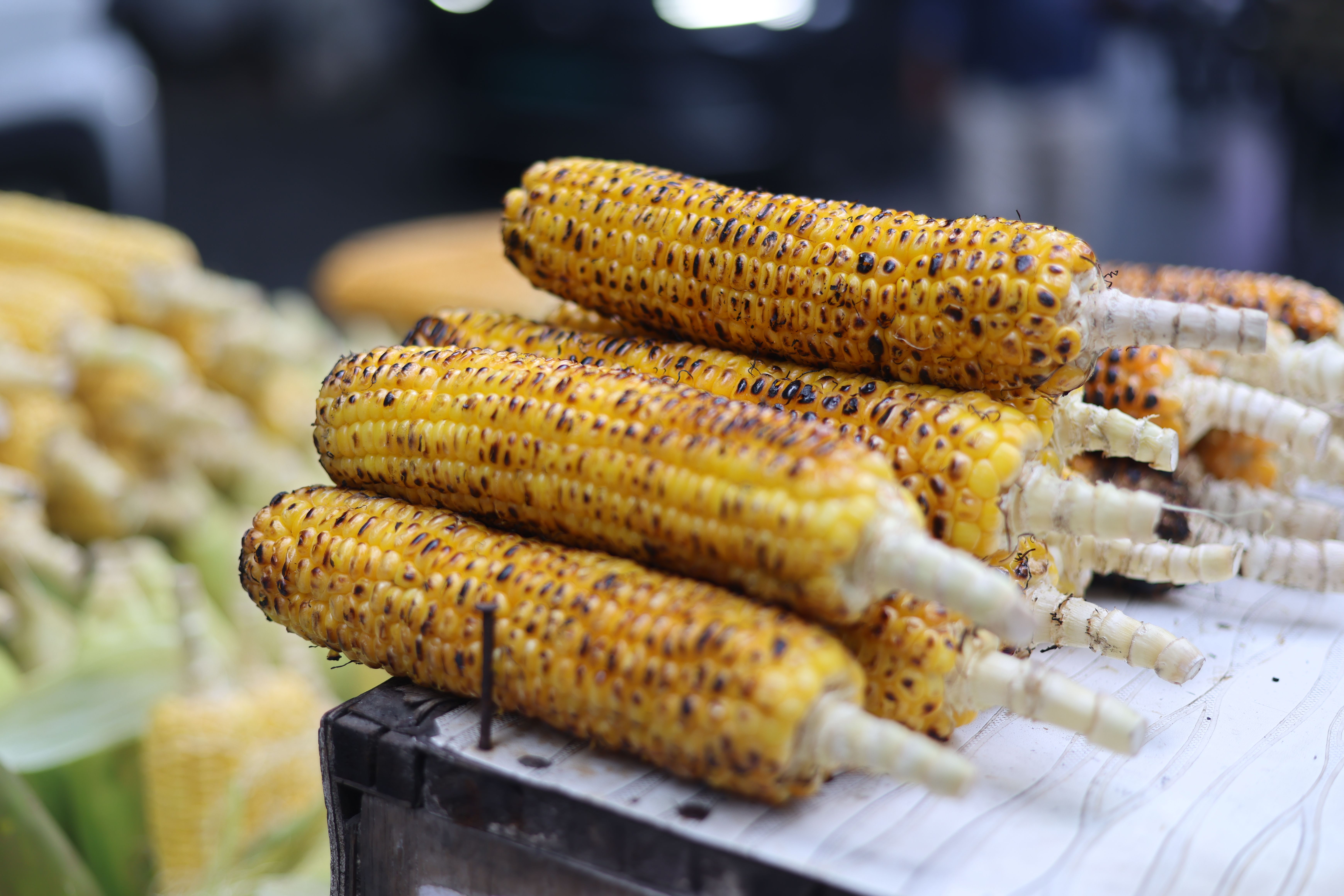 Maize