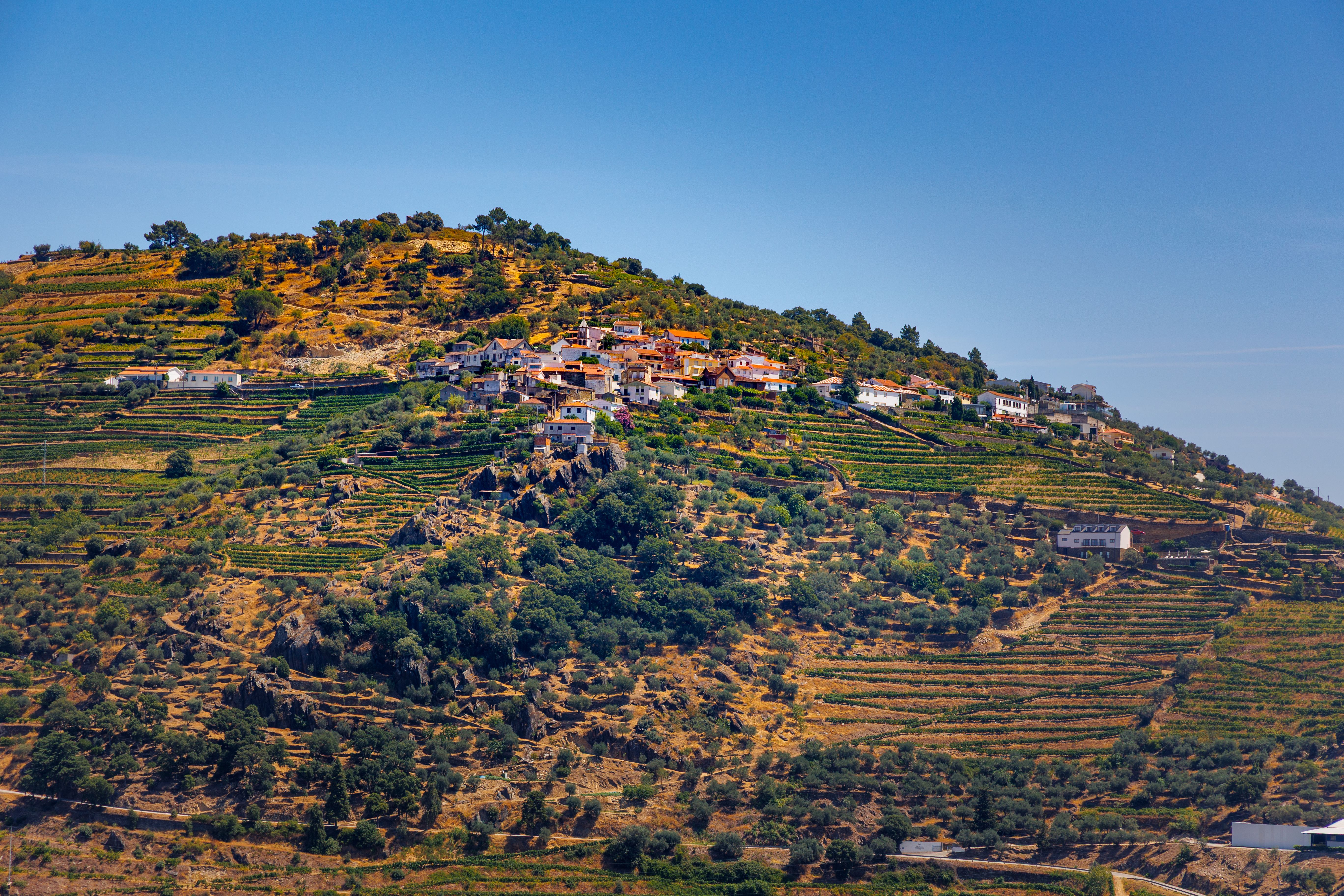 Quinta do Ribeiro Santo