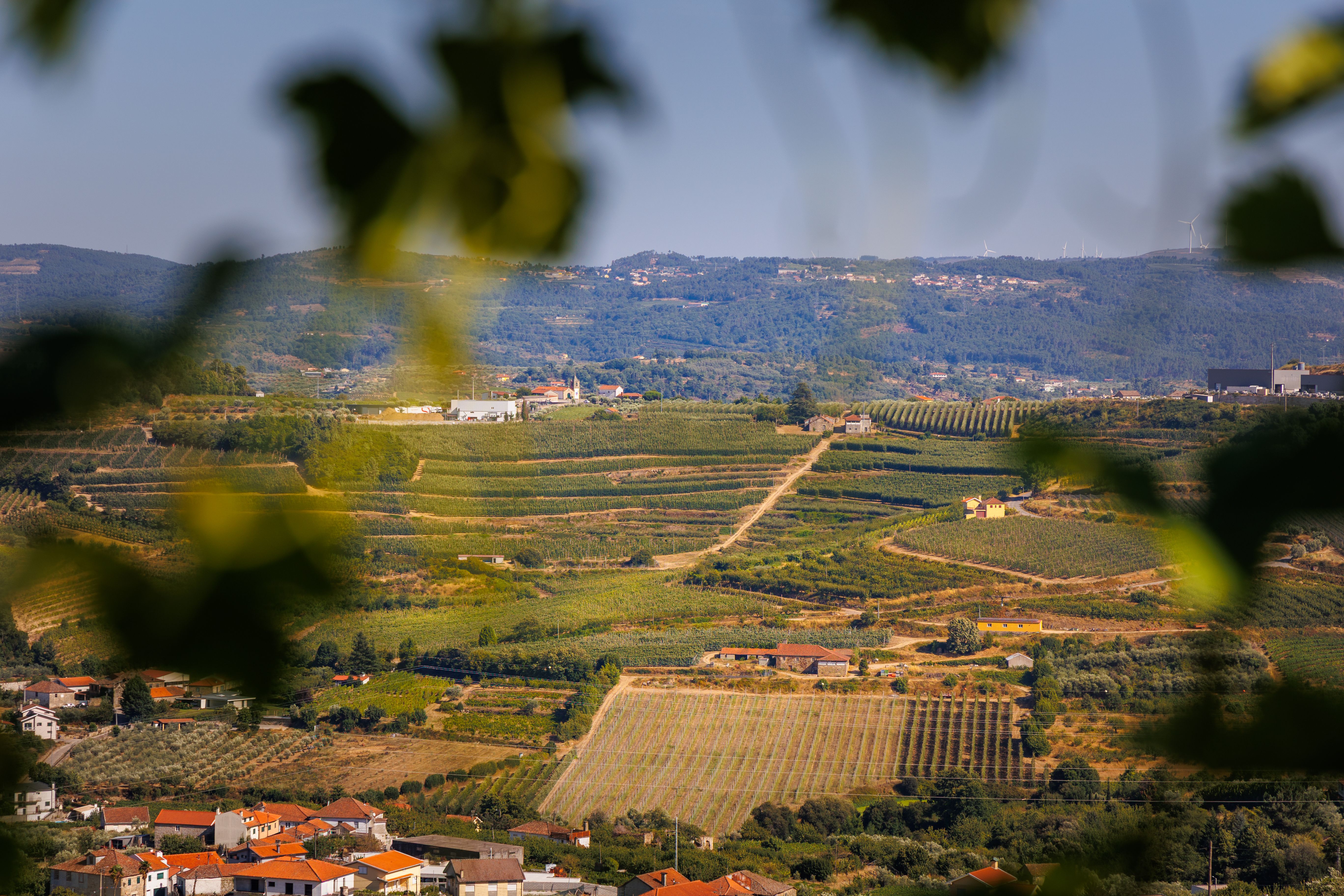 Bairrada