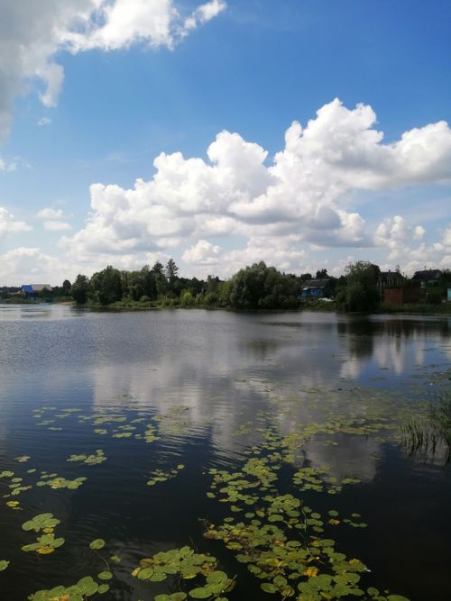 Free Serene lakeside view with fluffy clouds and lush greenery reflecting on the water's surface. Stock Photo