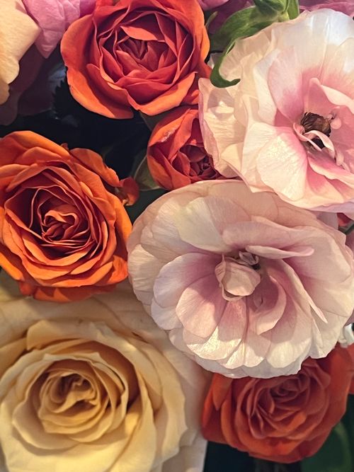 Free A vibrant display of orange roses and pink ranunculus flowers captured in a close-up shot. Stock Photo