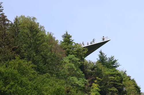 Free People standing on a lookout platform amidst lush greenery, enjoying a scenic view. Stock Photo
