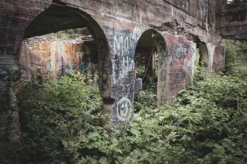 Free Explore the overgrown greenery and graffiti on this abandoned Canadian structure. Stock Photo
