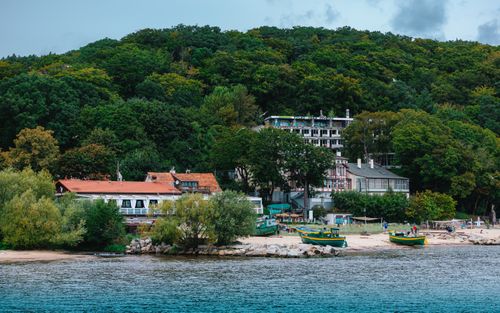 Free Idyllic coastal village nestled by a forest, boats on sandy beach. Stock Photo