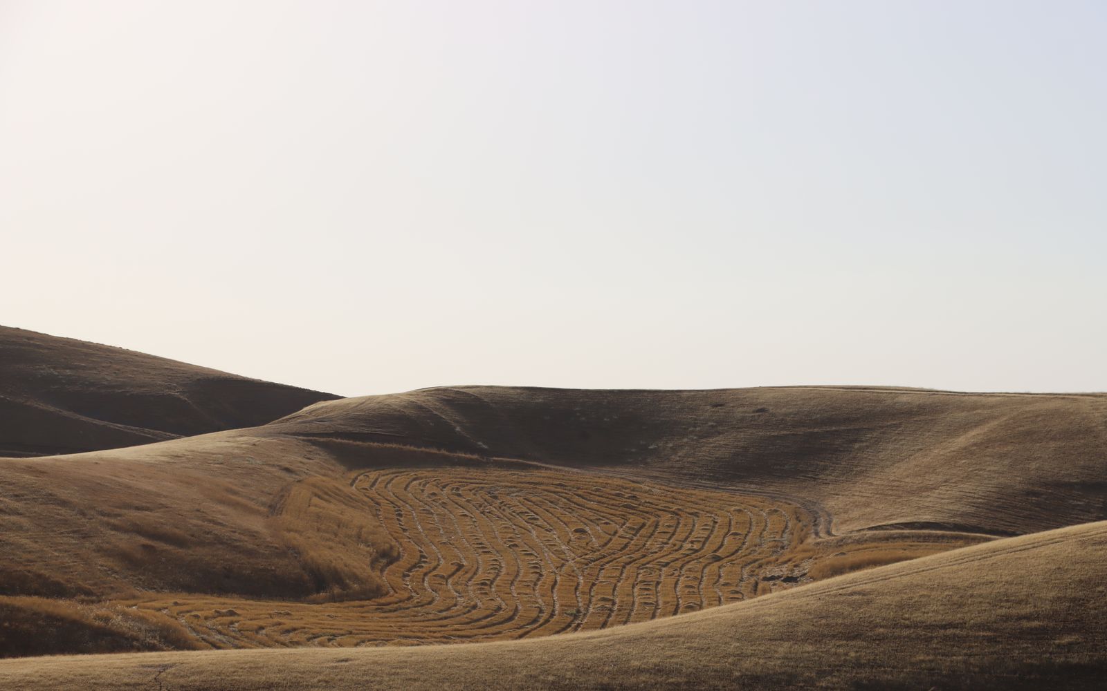 Golden dry hills under a clear sky