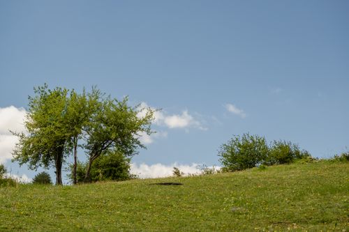 Free A peaceful grassy landscape with lush green trees under a clear blue summer sky. Stock Photo