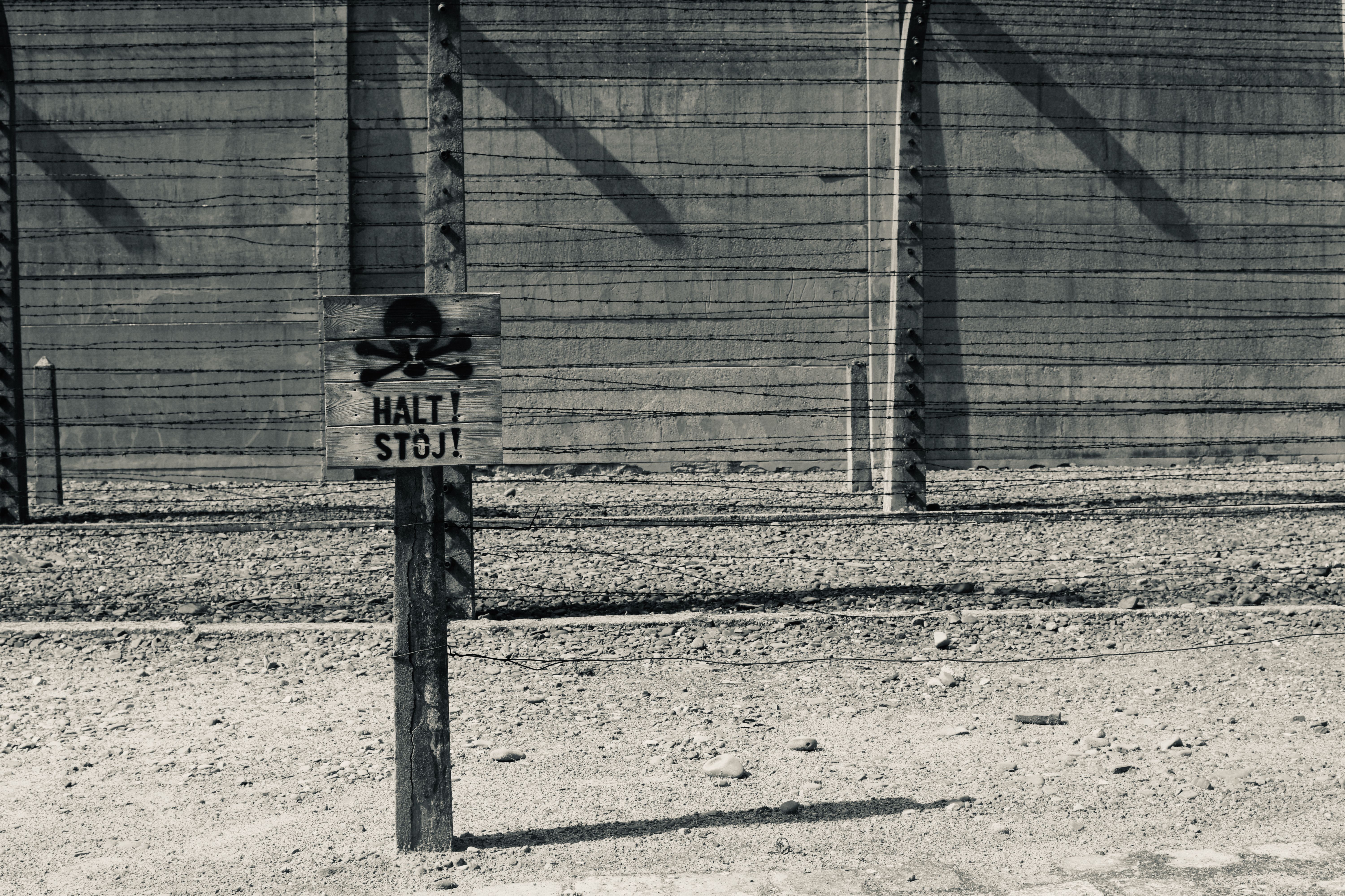 Against A Rhetoric Of The Unspeakable In Holocaust Writing