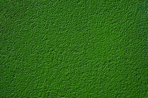 Free stock photo of green, texture, wall Stock Photo