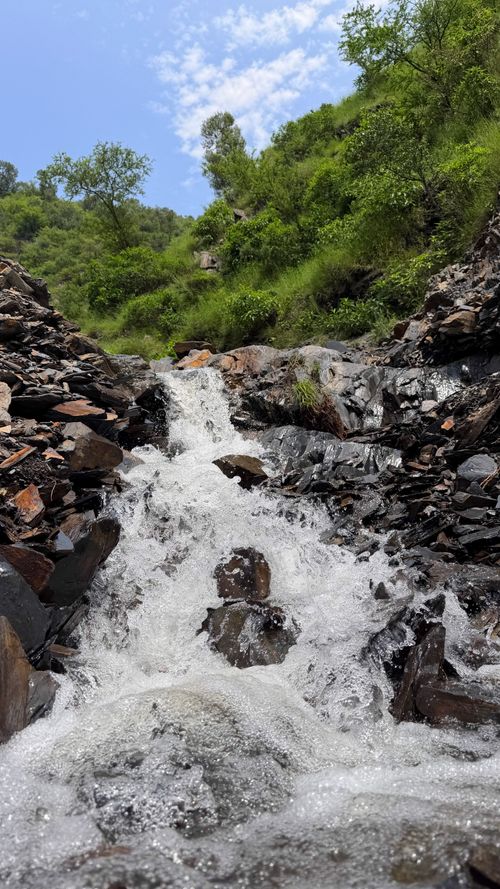 Free A picturesque mountain stream cascades through a verdant forest landscape, showcasing natural beauty. Stock Photo