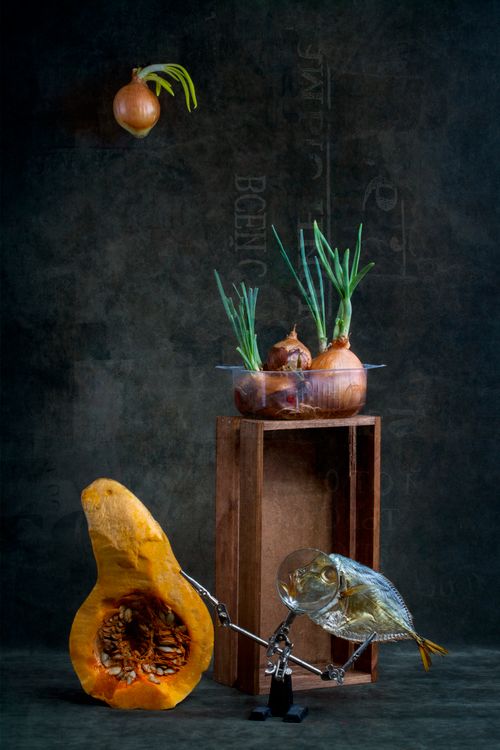 Free A surreal still life featuring onions, a squash, and a fish arranged creatively with vivid lighting. Stock Photo