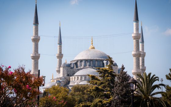 Stunning view of the Blue Mosque surrounded by lush trees on a clear day in Istanbul, Turkiya.