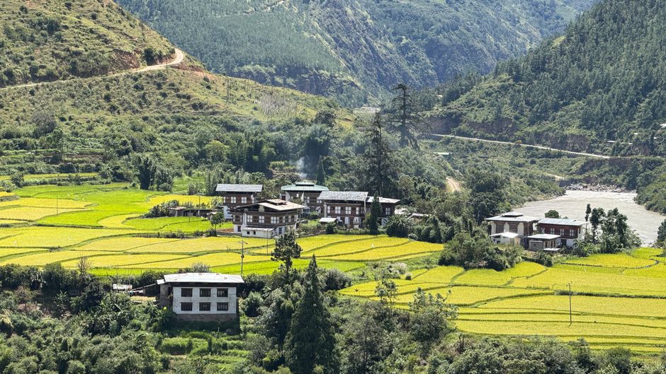 A picturesque view of traditional Bhutanese homes amidst lush green fields and mountains.