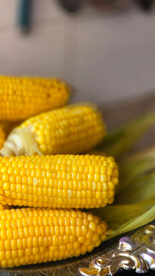 Free Close-up of fresh yellow corn ears with vibrant kernels displayed outdoors at a market. Stock Photo