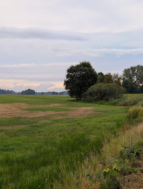 Free Peaceful rural landscape with trees and grassy fields at sunset. Stock Photo