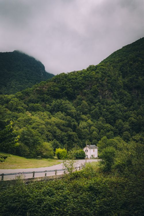 Free A tranquil road winding through lush hills and dense greenery in Cauterets, Occitanie, France. Stock Photo