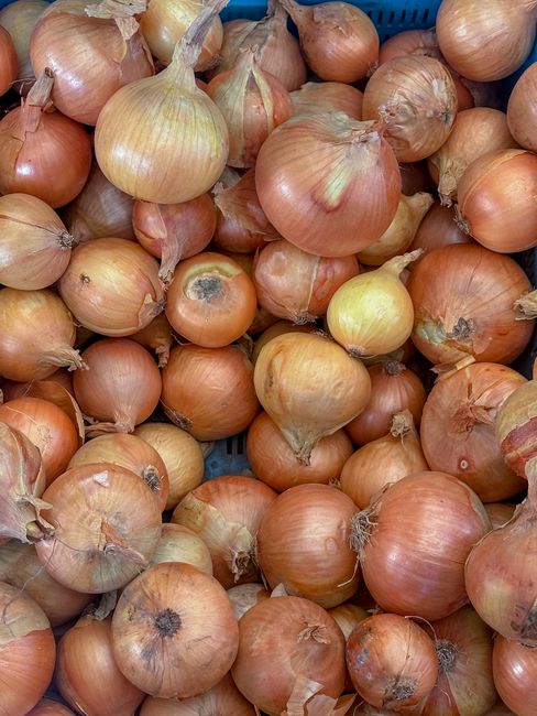 Limpeza e Higiene