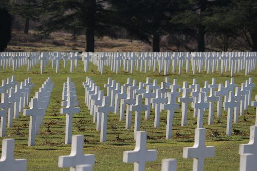 Free Rows of white crosses in Verdun's war cemetery, a tribute to fallen soldiers. Stock Photo