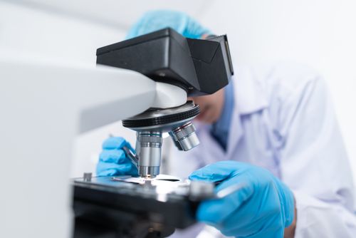 Lab