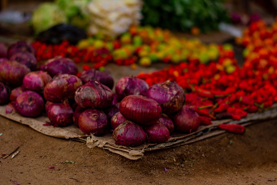 How to Transition to a Plant-Based Diet in Lagos