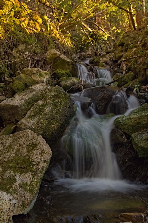 Free A tranquil waterfall in a lush green forest, cascading gently over moss-covered rocks on a spring day. Stock Photo