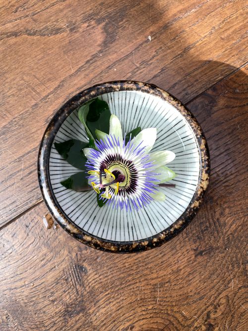 Free Top view of a passion flower in an artistic bowl on wooden surface, showcasing nature's beauty. Stock Photo