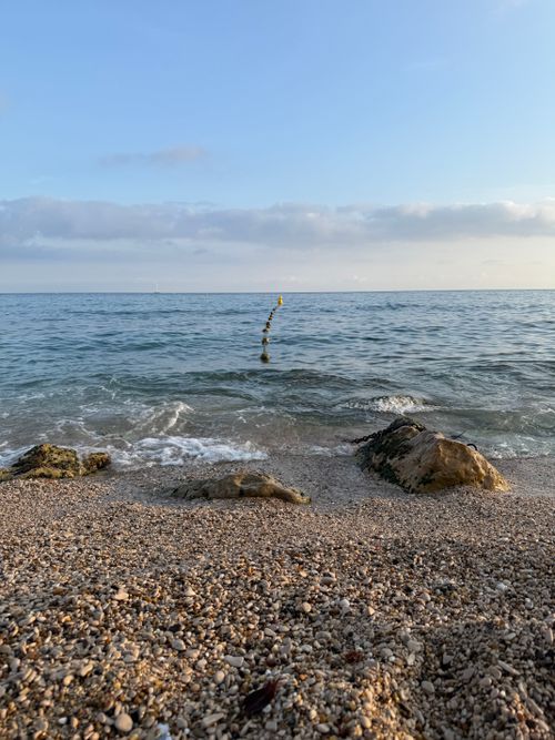 Free Tranquil beach view in Cassis, France with gentle waves and a calm sea under a blue sky. Stock Photo