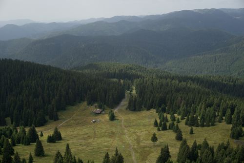 Free Aerial view of lush green forests and mountains in Pamporovo, Bulgaria, under a soft sky. Stock Photo