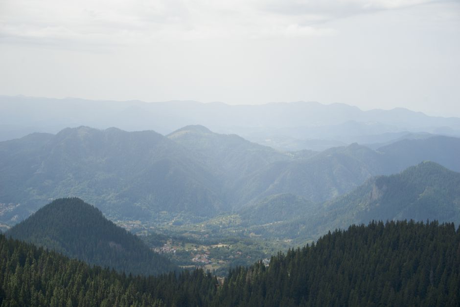 Vue imprenable sur les monts Rhodopes depuis Pamporovo, en Bulgarie, dévoilant une végétation luxuriante et des sommets lointains.