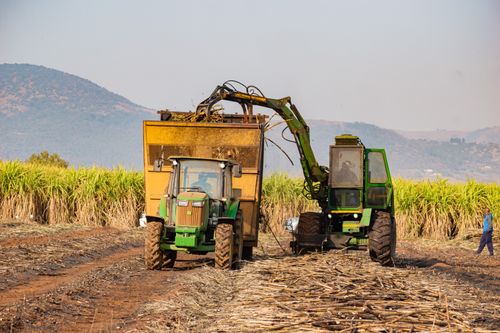 Free Sugarcane harvesting with machinery in a field near Manzini, showcasing rural life in Eswatini. Stock Photo