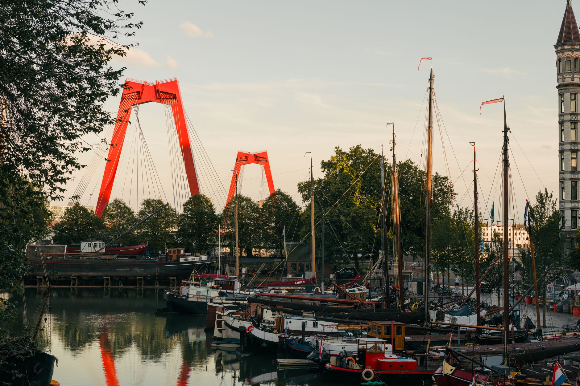 Rotterdam'da Nieuwe Maas nehri üzerinde inşa edilmesi planlanan yeni şehir köprüsü projesi