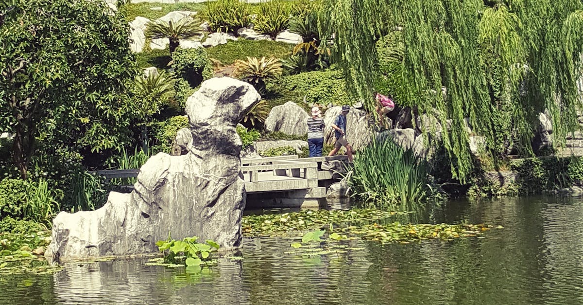 Free stock photo of Chinese Gardens