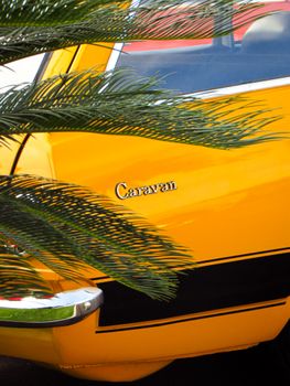 A vibrant vintage yellow car partially obscured by palm leaves, showcasing classic style.