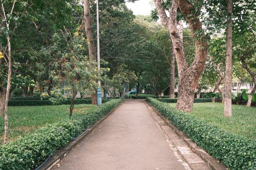 Free A tranquil walkway in a green park, surrounded by lush trees and grass, perfect for a peaceful stroll. Stock Photo