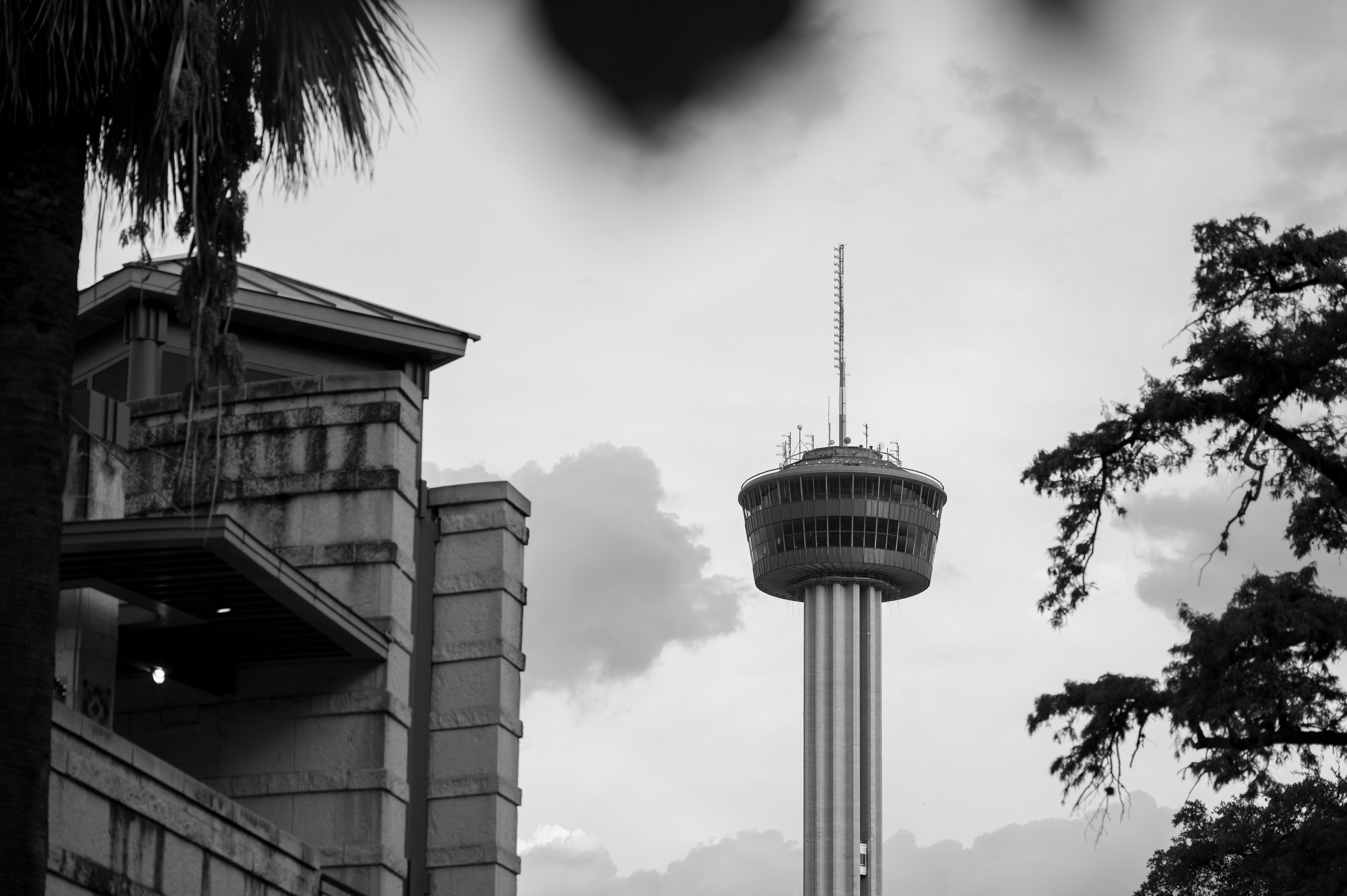 Monochrome photo of a distinctive tower amidst urban and natural elements.