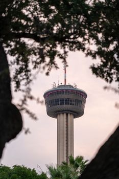 Scenic view of Tower of the Americas framed by lush green trees at dusk.