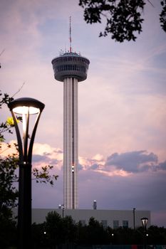 Elegant shot of the Tower of the Americas in San Antonio at sunset, framed by trees.