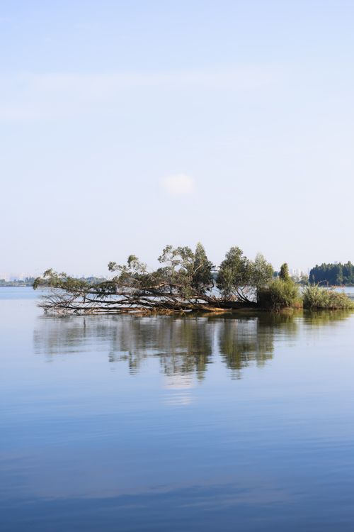 Free Serene view of a small island reflecting in still lake waters under a clear sky. Stock Photo