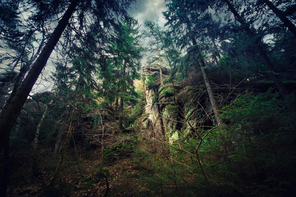 Zwergin Miniarsch Wald Onanieren