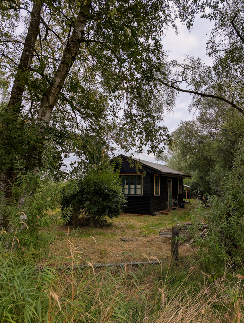 Free Cozy black cabin nestled in a forest clearing with vibrant trees and foliage embracing the scene. Stock Photo
