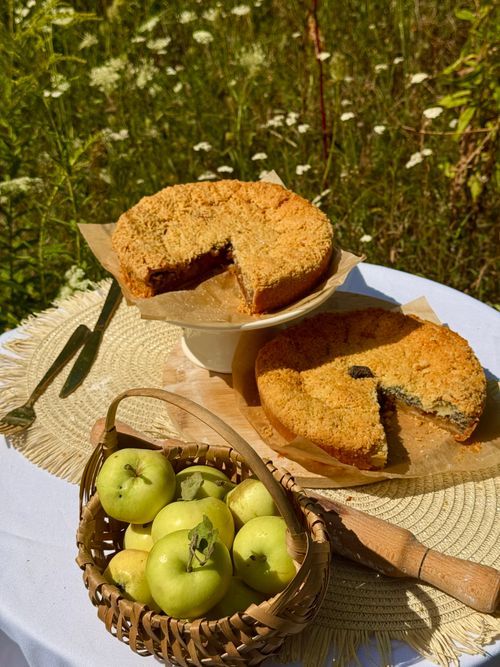 Free Delicious homemade apple pie with fresh apples in a rustic outdoor setting. Perfect for fall picnics. Stock Photo