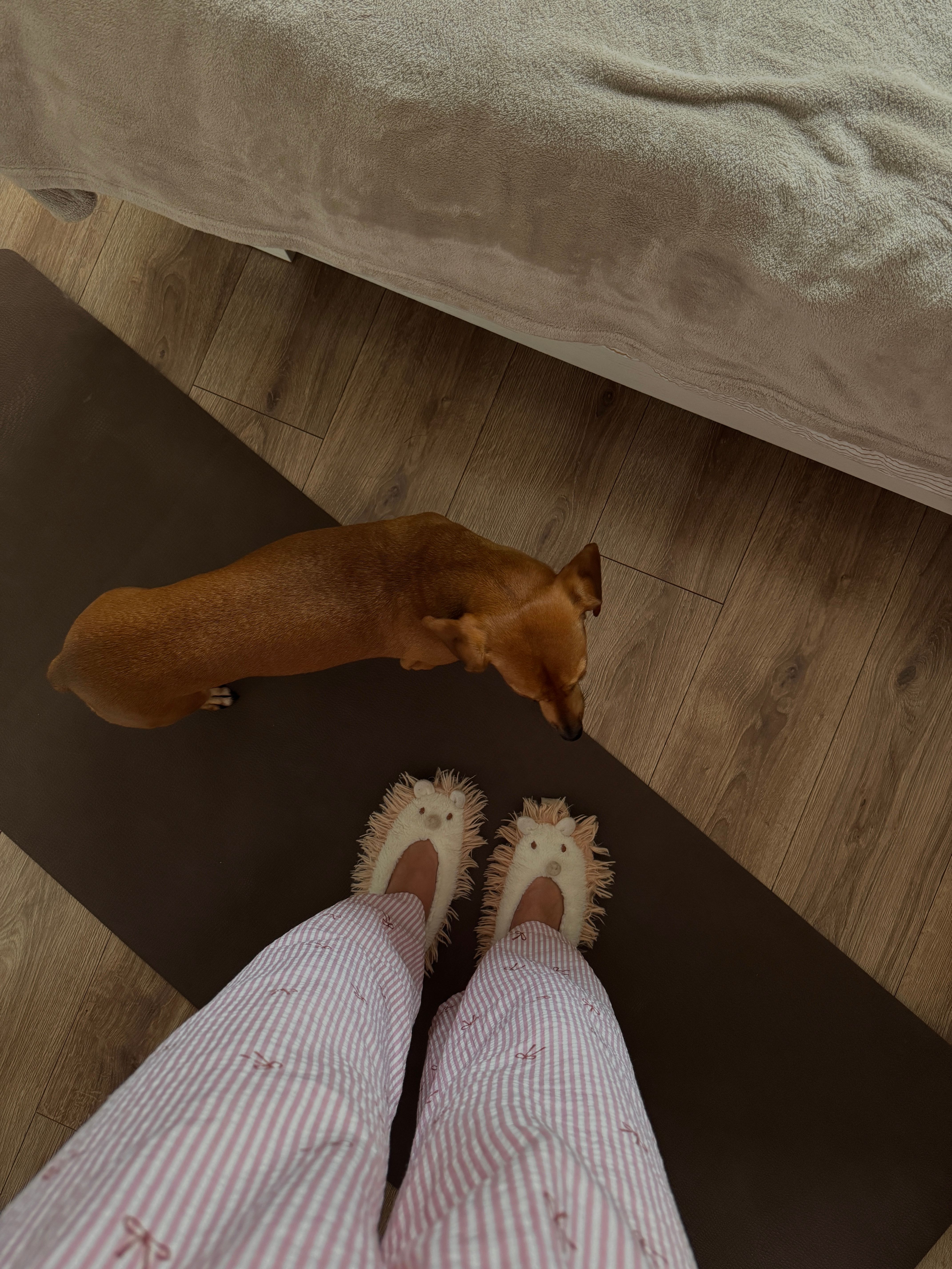 View from above of a person in pajamas with their small dog indoors.