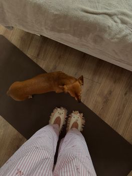 View from above of a person in pajamas with their small dog indoors.