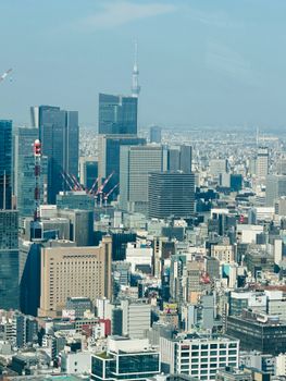 Stunning aerial view of Tokyo skyline featuring the iconic Skytree Tower under a clear blue sky.
