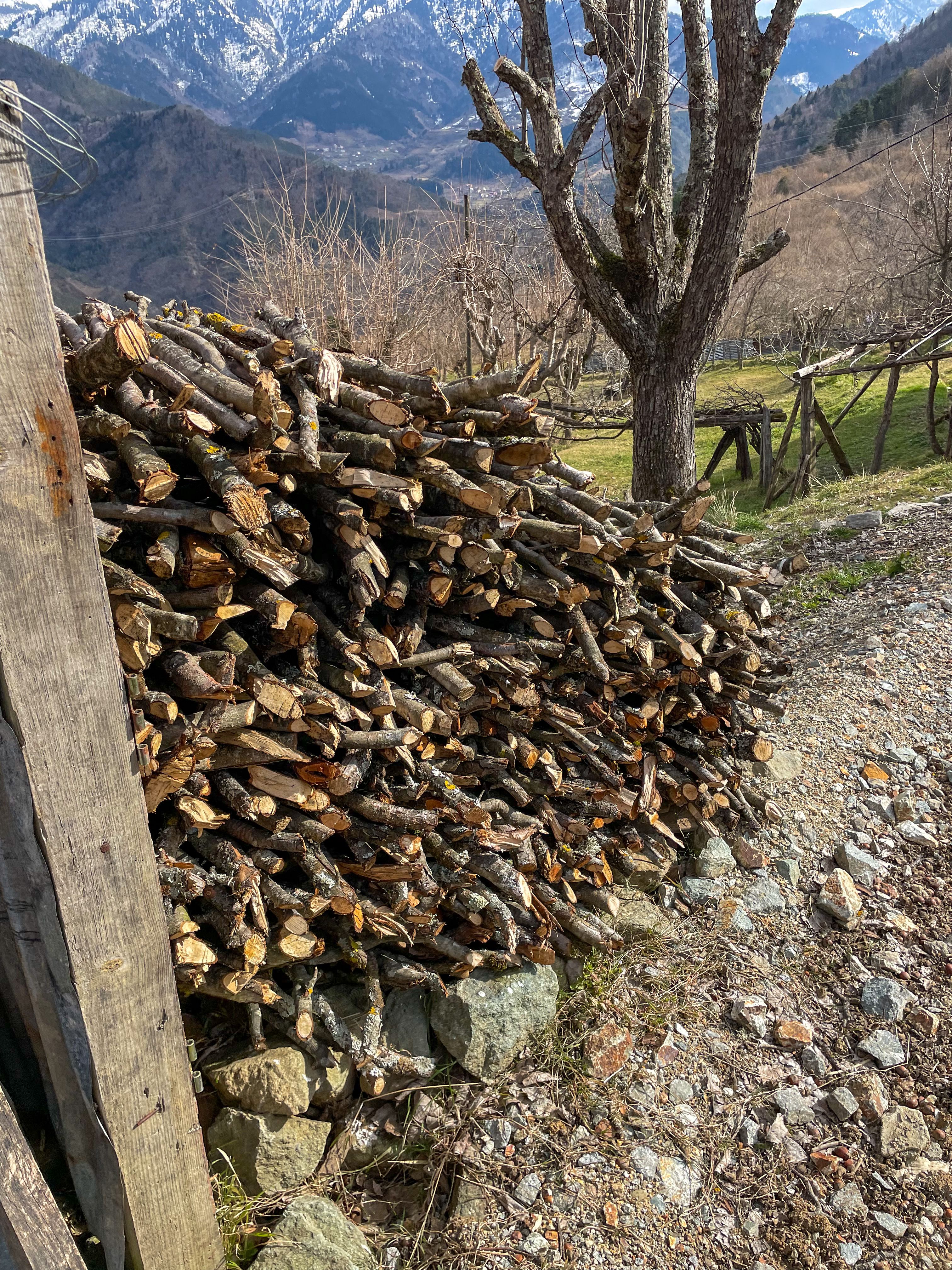 A rustic pile of firewood set against a scenic mountain landscape, perfect for winter preparation themes.