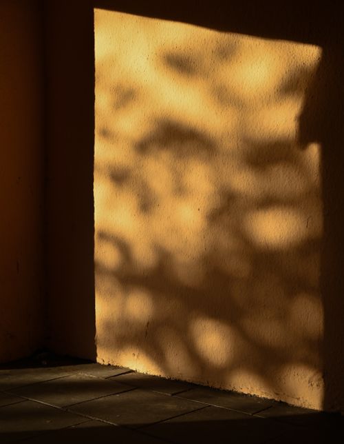 Free Soft shadows cast by sunlight on a textured wall, creating a warm abstract pattern. Stock Photo
