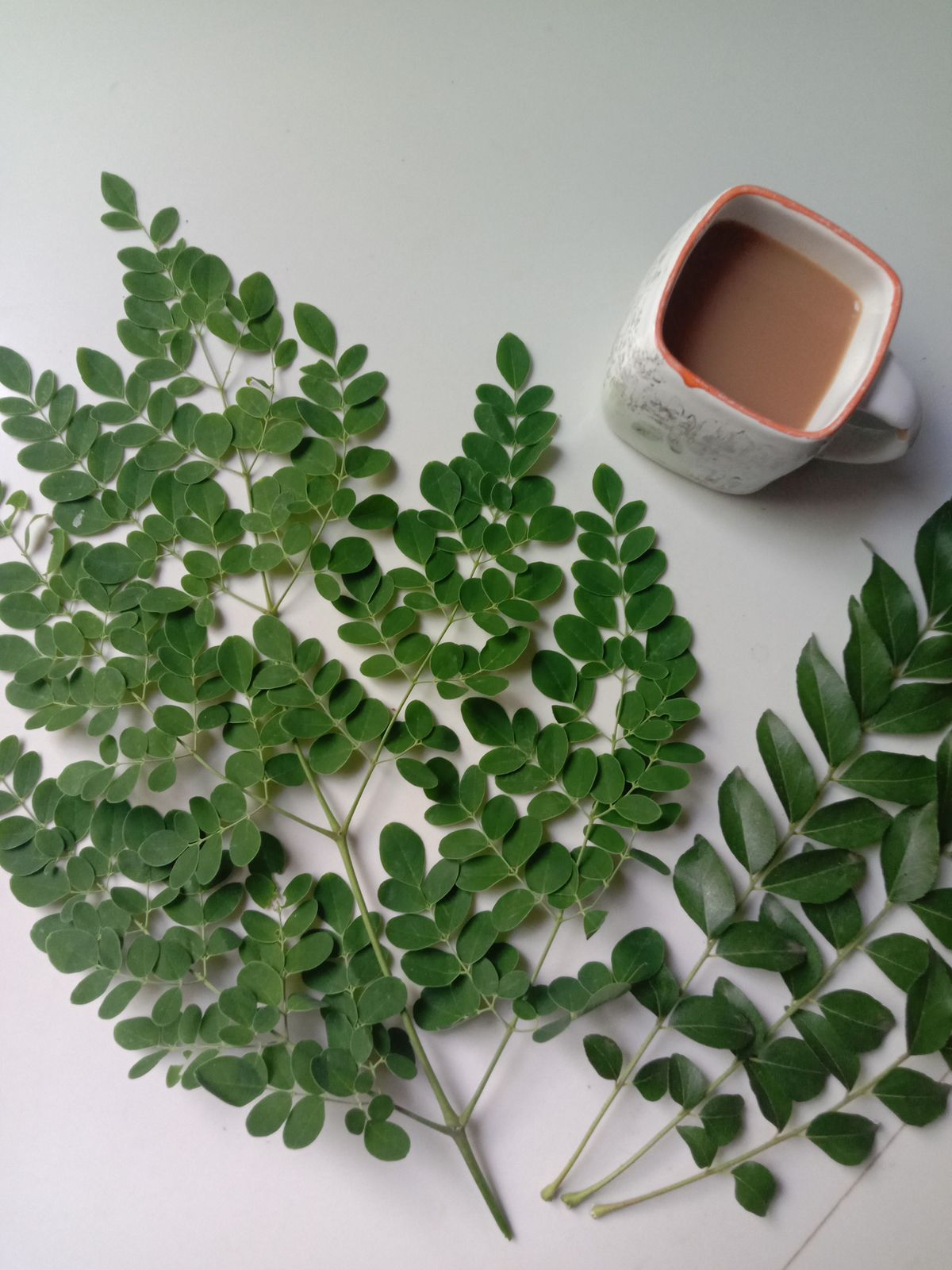 Moringa Leaf Powder alternate view