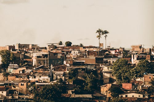 Aerial Shot of Buildings