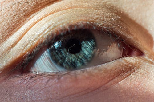 Persons Eye With Green Eyes
