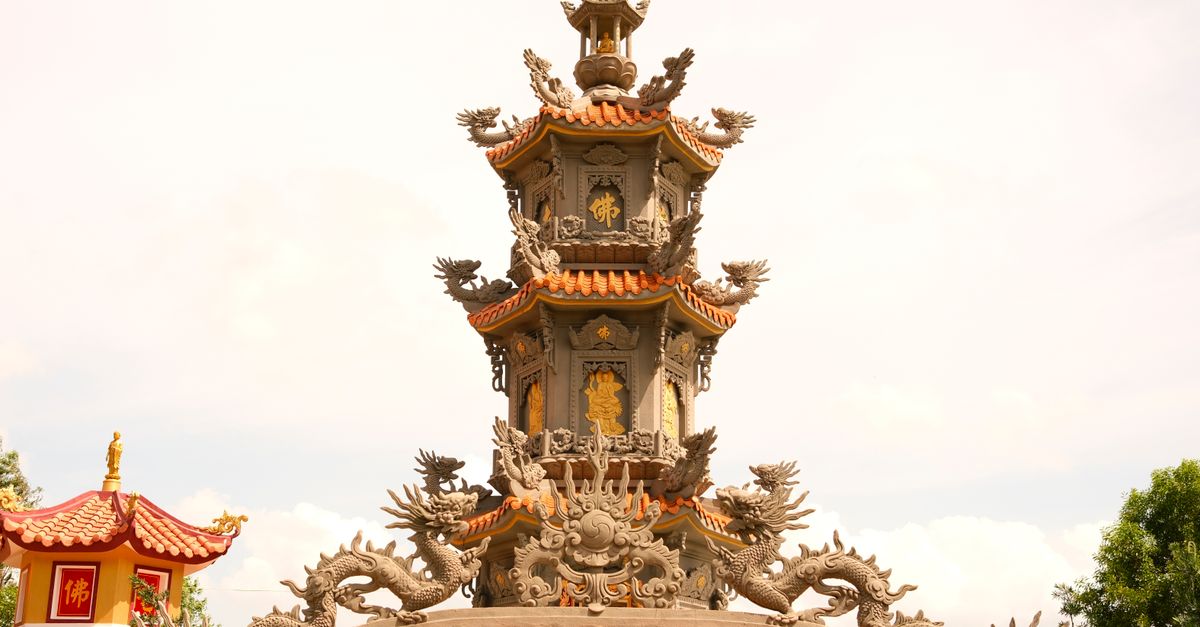 sea dragons