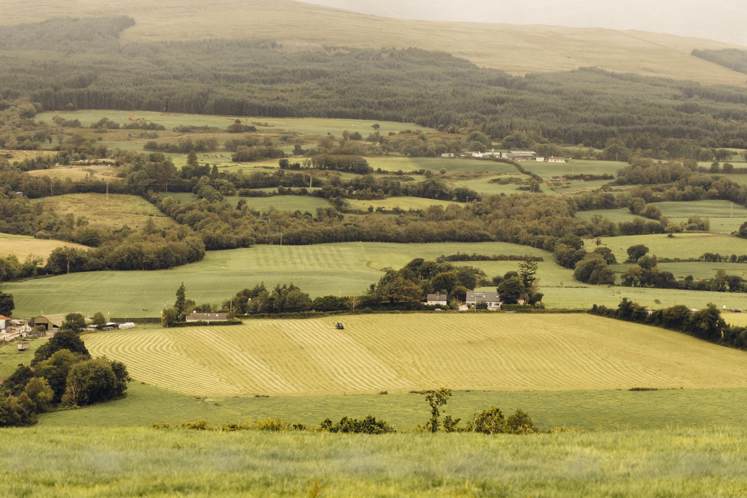 A view of green fields and farms in County Kerry, Ireland